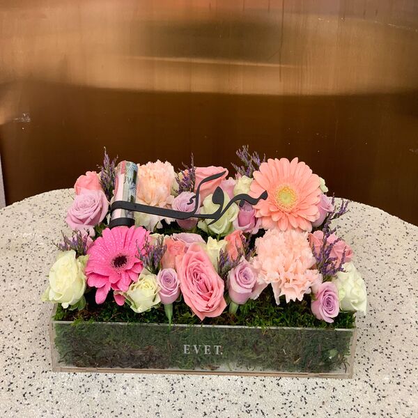 869c2278_WhatsApp Image 2026-02-03 at 6.20.31 PM.jpeg